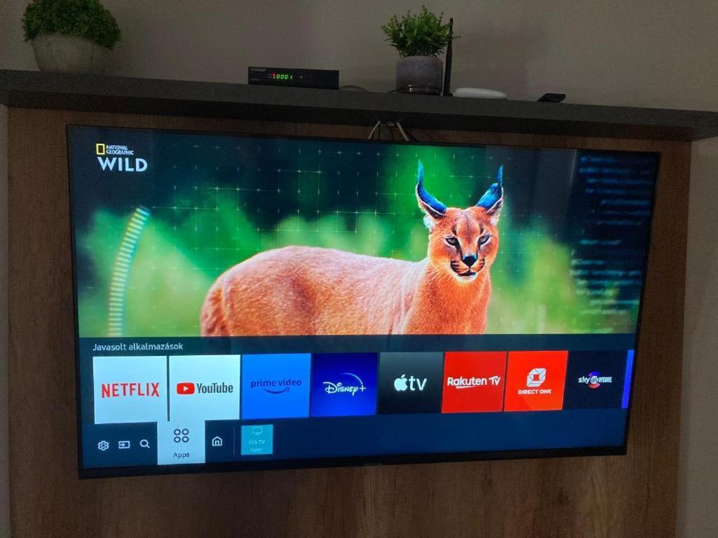 Spengler Apartman Harkány Szoba fotó